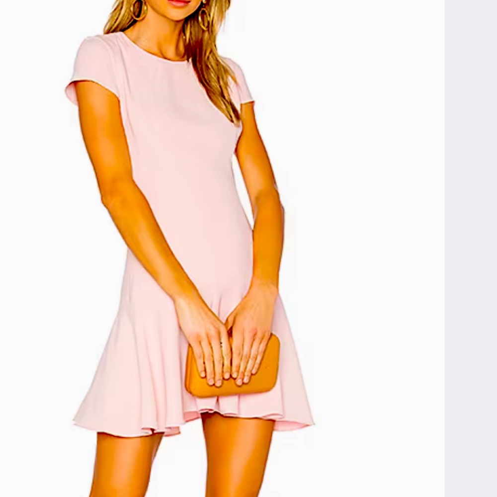 Blush pink Amanda Uprichard Hudson dress. Size S. Perfect for whatever dress.